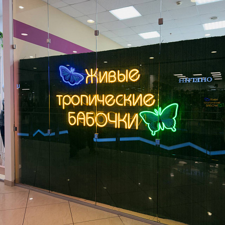 Парк тропических бабочек в Северном Нагорном! 