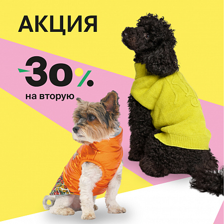 Осенняя распродажа для четвероногих модников!