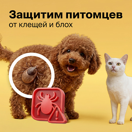 СКИДКИ ДО 35% В Четырех лапах на защиту для питомцев. 